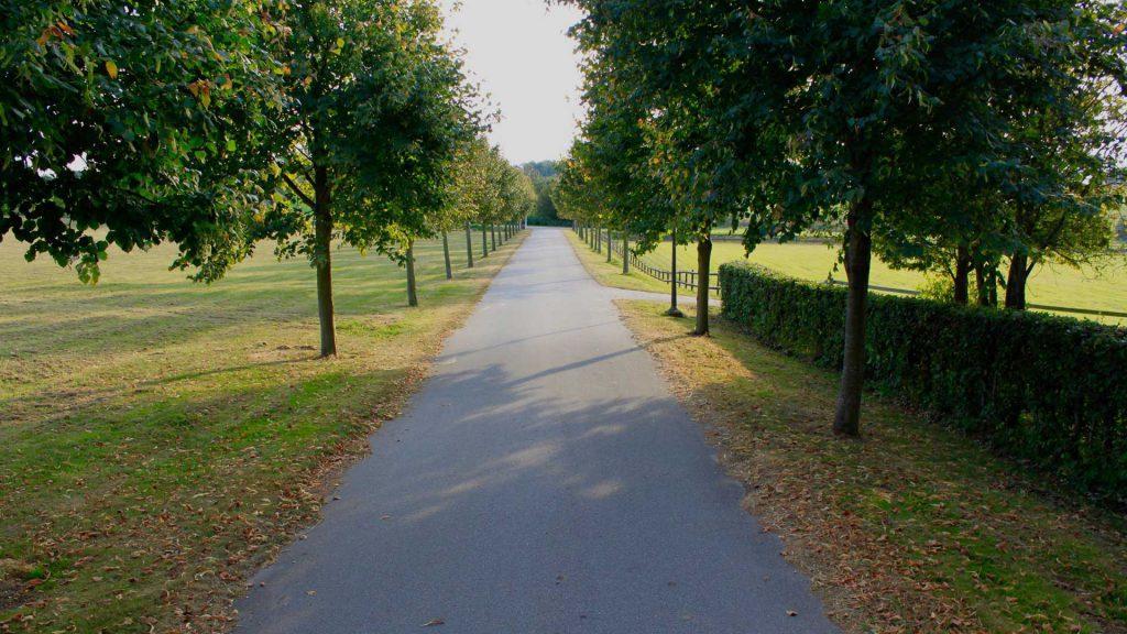 Louiselund Bed & Breakfast Haderslev Bagian luar foto