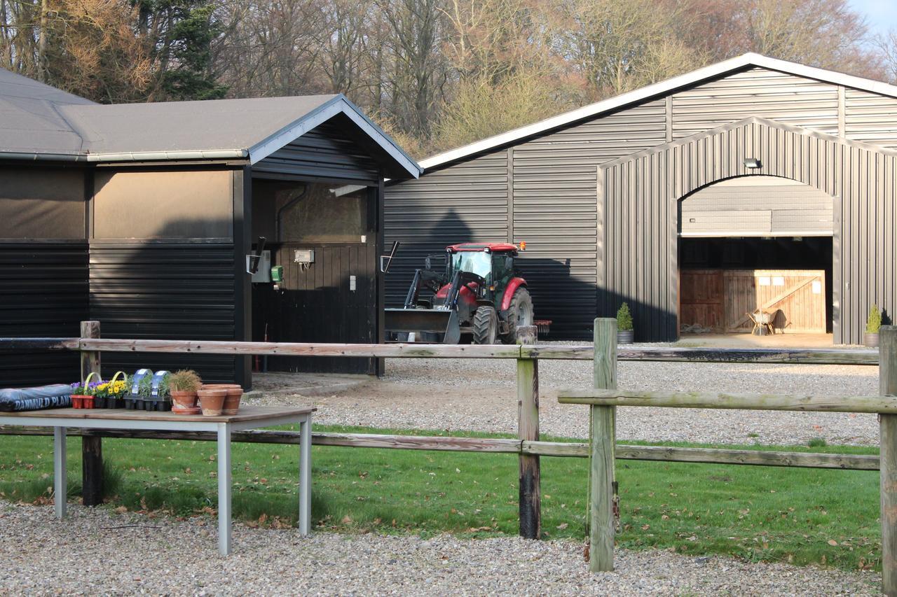 Louiselund Bed & Breakfast Haderslev Bagian luar foto