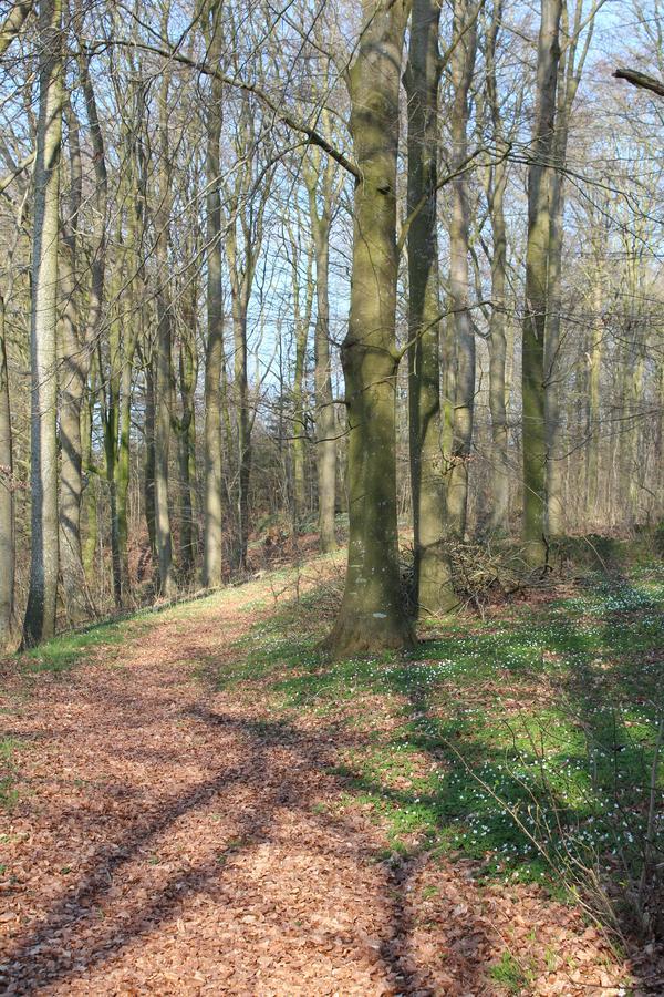 Louiselund Bed & Breakfast Haderslev Bagian luar foto